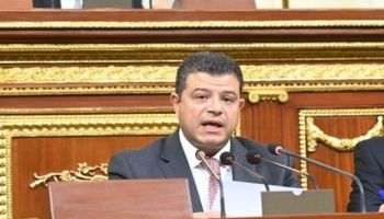 النائب محمد سليمان