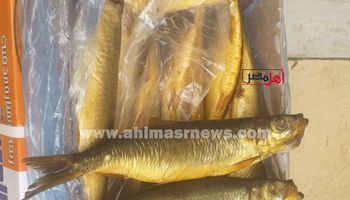 إقبال على شراء الفسيخ والرنجة قبل عيد الفطر بكفر الشيخ 